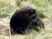 Er schlaeft noch fast