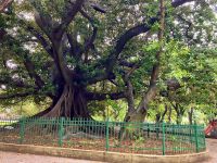 Im ersten Park