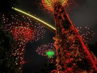 Gardens by the Bay Singapur