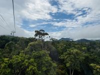 Regenwald Kuranda