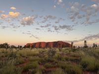 Sonnenaufgang am Uluru