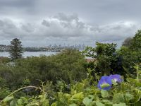 Skyline Sydney
