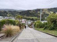 Baldwin Street - steilste Straße der Welt, Dunedin, Neuseeland