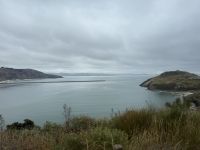 Otago Halbinsel, Dunedin, Neuseeland