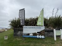 Albatross-Kolonie auf der Otago Halbinsel, Dunedin, Neuseeland