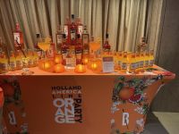 Orange Party auf der MS Westerdam