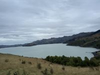 Fahrt auf die Akaroa Halbinsel, Neuseeland