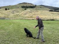 Manderly Farm, little River, Neuseeland