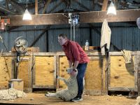 Manderly Farm, little River, Neuseeland