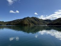 Queen Charlotte Sound, Picton, Neuseeland