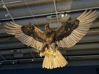 Te Papa Tongarewa Museum Wellington, Neuseeland