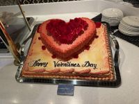 Valentinstag an Bord der MS Westerdam