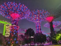Gardens by the Bay, Singapur 