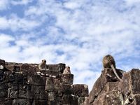 Bayon Tempel, Siem Reap