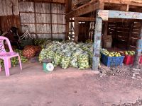 Kampong Khleang, am Tonle Sap See