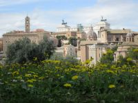 Forum Romanum, Rathaus und Vaterlandsaltar