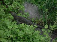 Ist er nicht schön?