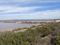 Salinen Wasserflächen - Mallorca