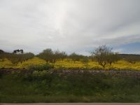 Landschaften vom Bus - Mallorca