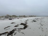 Stanley - Falklandinseln 