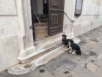 Gemelli - Zwillinge mit dem Abschiedsblick