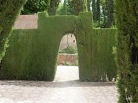 Zunächst wurden wir in den kleinen Irrgarten vor dem Generalife geführt