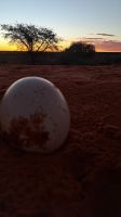Sonnenuntergang mit Deko