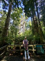 Wir Menschen sehen wie Ameisen aus vor diesen Riesen