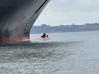 Blinde Passagiere auf der MS Oosterdam