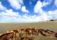 90 Miles Beach