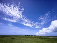 Aotearoa - Land der langen weißen Wolke 