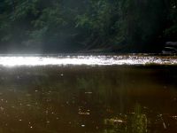 Nachmittagsstimmung am Fluss im Taman Negara NP