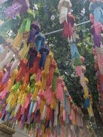 Laternen am Doi Suthep Tempel, 7 Farben für 7 Wochentage 