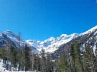 Fahrt mit dem Bernina-Express - Morteratsch-Gletscher