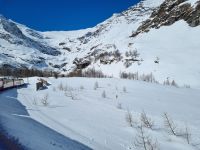 Fahrt mit dem Bernina-Express... 