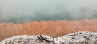 Thermalgebiet Wai-O-Tapu
