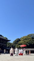 Meiji Jingu, Shibuya, Tokyo, Japan