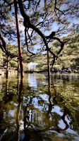 Heian-jingu Shrine, Kyoto, Japan