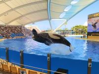 Teneriffa - Loro-Park