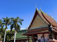 Teneriffa - Loro-Park