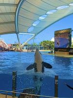 Teneriffa - Loro-Park