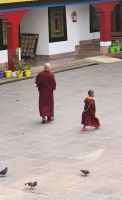 Sikkim - Kloster Rumtek - Mönch mit seinem jungen Schüler
