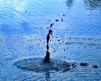 Es blubbert und riecht nach Schwefel in Wai-O-Tapu