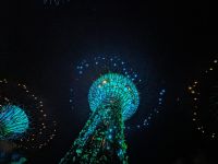 7. Gardens by the Bay, Singapur