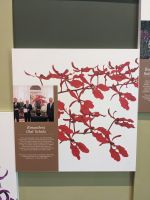 23. Orchideengarten Singapur