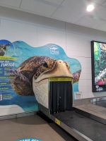 34. Flughafen Cairns