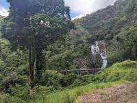 60. Bahnfahrt von Kuranda nach Cairns, Australien