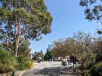 230. Botanischer Garten, melbourne, Australien