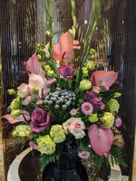 250. Holland America Westerdam