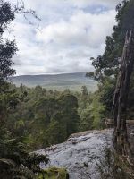 264. Mt. Field Nationalpark, Hobart, Tasmanien, Australien